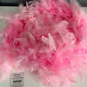 FREE ADD ON Pink Feather Boa